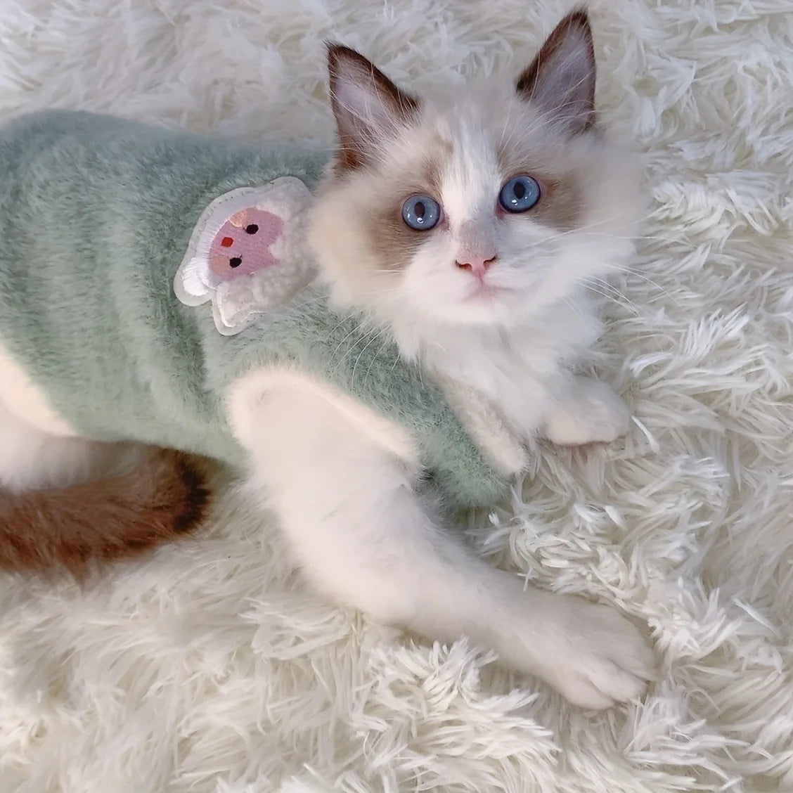 Cat Sweater