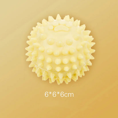 Dog Interactive Chewing Toy