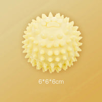 Dog Interactive Chewing Toy