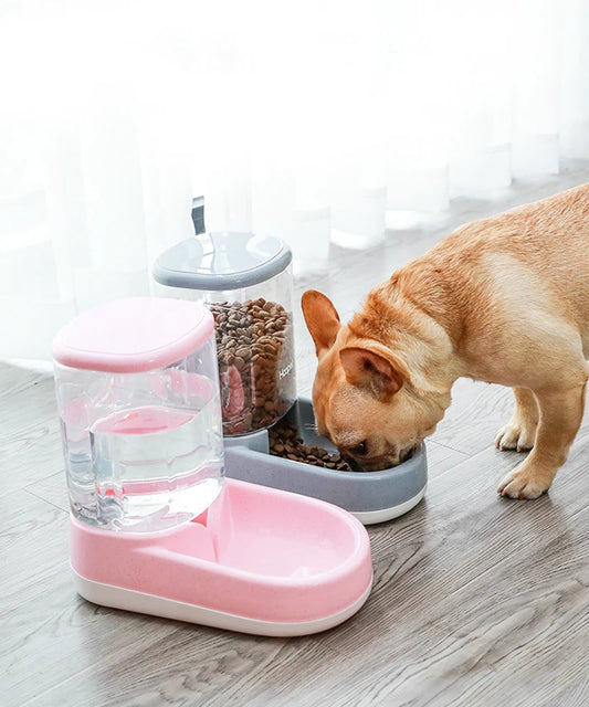 Pet Automatic Feeder