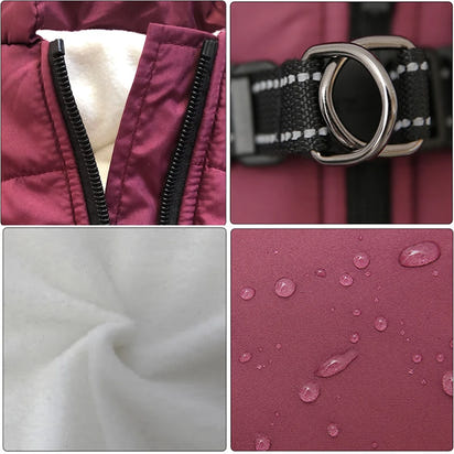 Pet Vest With Harness