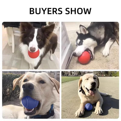 Chewing Interactive Bouncing Ball